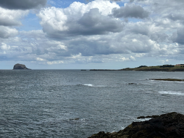 黑料瓜今日,黑料网最新爆料