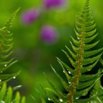 黑色料新瓜,黑料不打烊最新爆料 0svizt