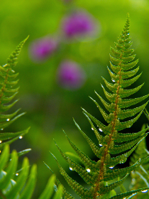 黑色料新瓜,黑料不打烊最新爆料 黑色料新瓜,黑料不打烊最新爆料