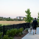 最近刚出来的新直播平台2020 2x2m77vwk8