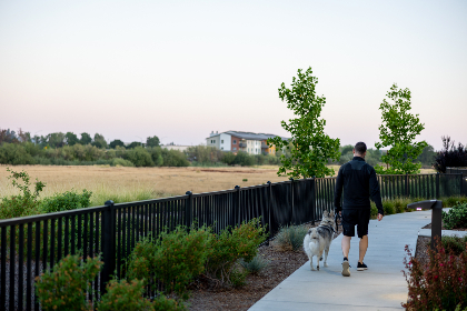 最近刚出来的新直播平台2020