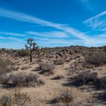 手机看片av免费永久不卡 wm8sfjs4m