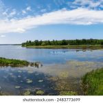 便捷高效的BT种子下载器网页版推荐与使用指南 1k4k532