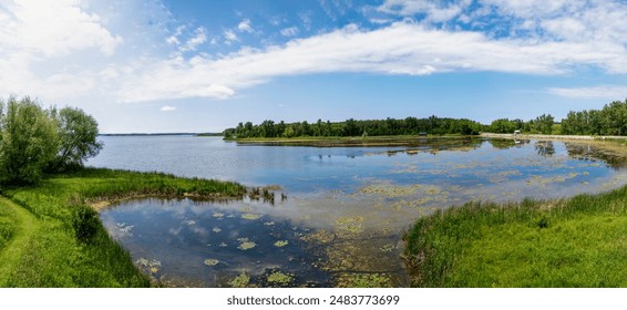 便捷高效的BT种子下载器网页版推荐与使用指南