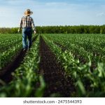 国内黑料地址:揭秘隐藏在网络深处的资源与获取方式 a8vg3r14f