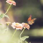 万相之王:漫画与小说交织的奇幻冒险 ch25a