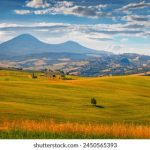 万相之王小说免费阅读:畅享精彩故事与人物 q6qa1jp